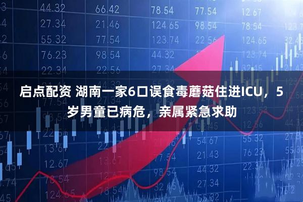 启点配资 湖南一家6口误食毒蘑菇住进ICU，5岁男童已病危，亲属紧急求助