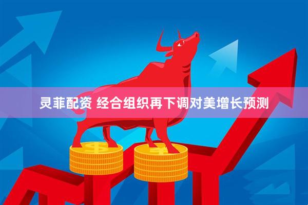 灵菲配资 经合组织再下调对美增长预测