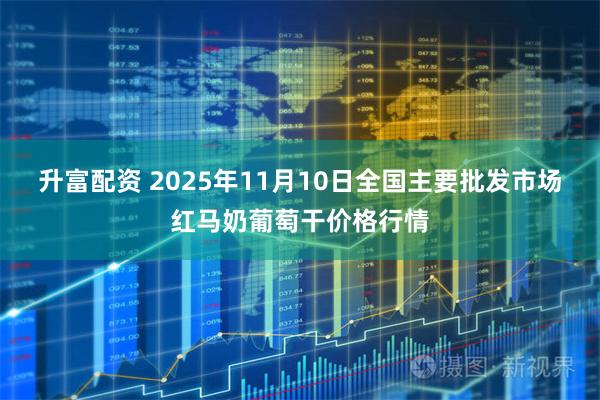 升富配资 2025年11月10日全国主要批发市场红马奶葡萄干价格行情