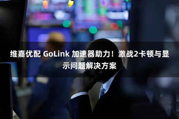 维嘉优配 GoLink 加速器助力!激战2卡顿与显示问题解决方案