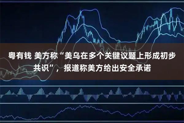 粤有钱 美方称“美乌在多个关键议题上形成初步共识”,报道称美方给出安全承诺