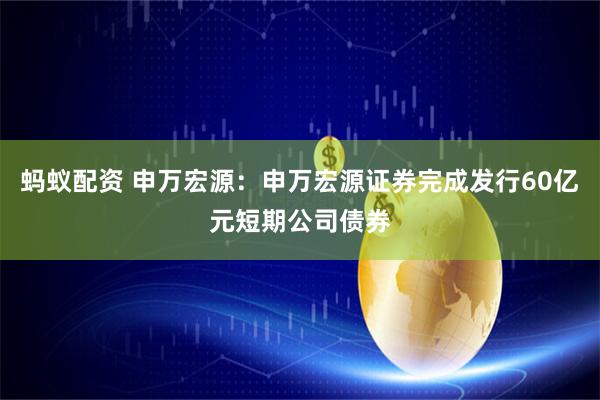 蚂蚁配资 申万宏源:申万宏源证券完成发行60亿元短期公司债券